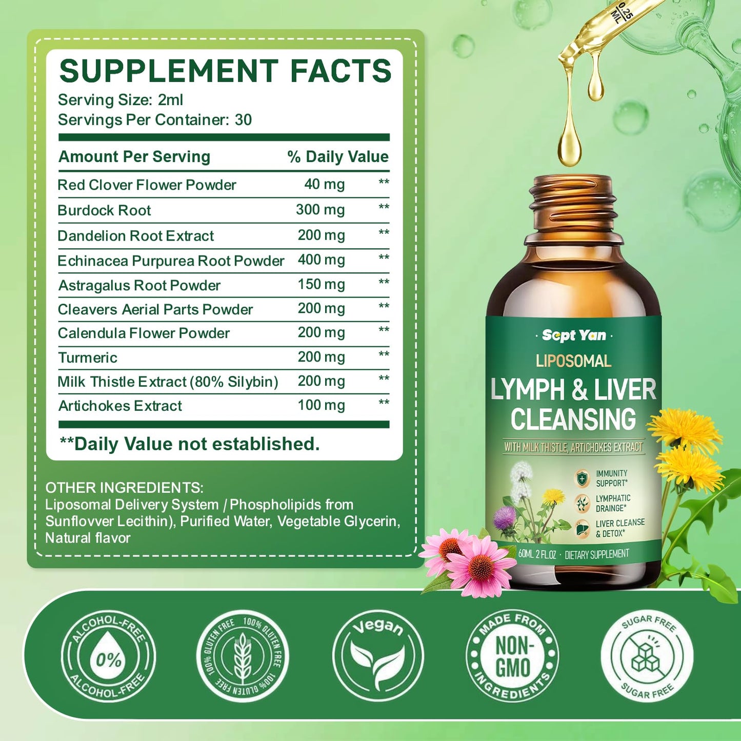Liposomal Lymphatic Drainage Drops - Lymphatic Drainage Supplements with Milk Thistle, Burdock Root for Women & Men | Supports Liver Cleanse, Detox & Repair | Lymph - Liver Cleanse Health | 2 Fl Oz - dailyvitalstore