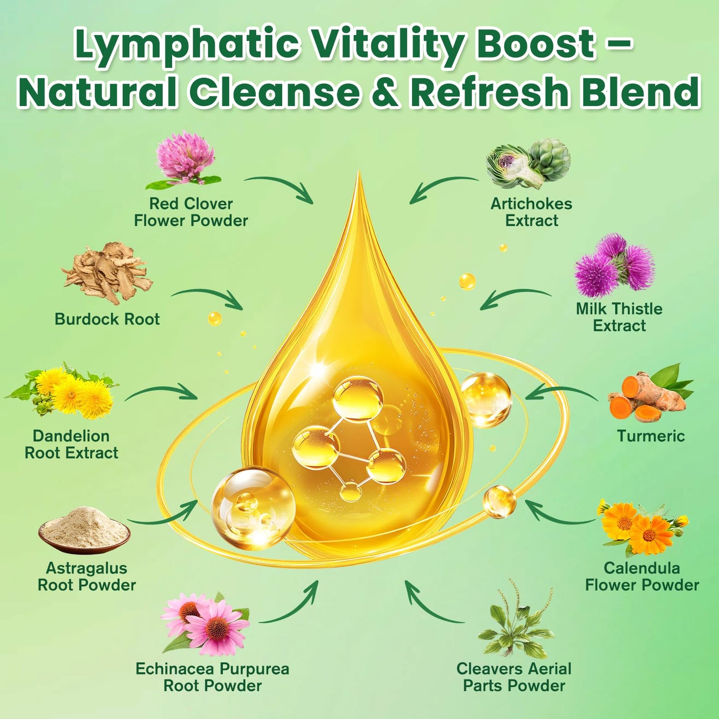 Liposomal Lymphatic Drainage Drops - Lymphatic Drainage Supplements with Milk Thistle, Burdock Root for Women & Men | Supports Liver Cleanse, Detox & Repair | Lymph - Liver Cleanse Health | 2 Fl Oz - dailyvitalstore