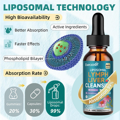 Liposomal Lymphatic Drainage & Liver Cleanse Drops, 23-in-1 with Echinacea, NAC, TUDCA, L-Glutathione, Burdock for Lymph, Liver Detox & Repair, Immune Support, Raspberry Flavor, 2 fl oz Supplement - dailyvitalstore