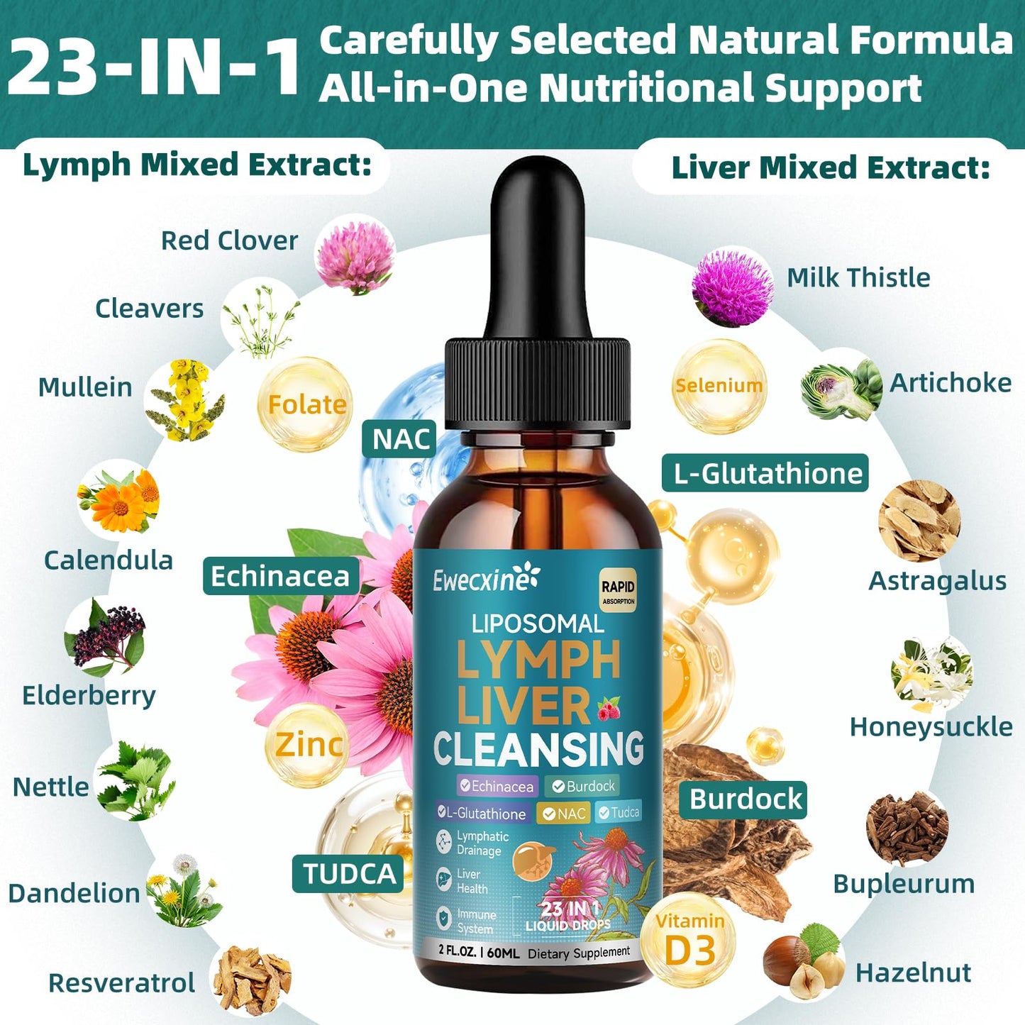 Liposomal Lymphatic Drainage & Liver Cleanse Drops, 23-in-1 with Echinacea, NAC, TUDCA, L-Glutathione, Burdock for Lymph, Liver Detox & Repair, Immune Support, Raspberry Flavor, 2 fl oz Supplement - dailyvitalstore