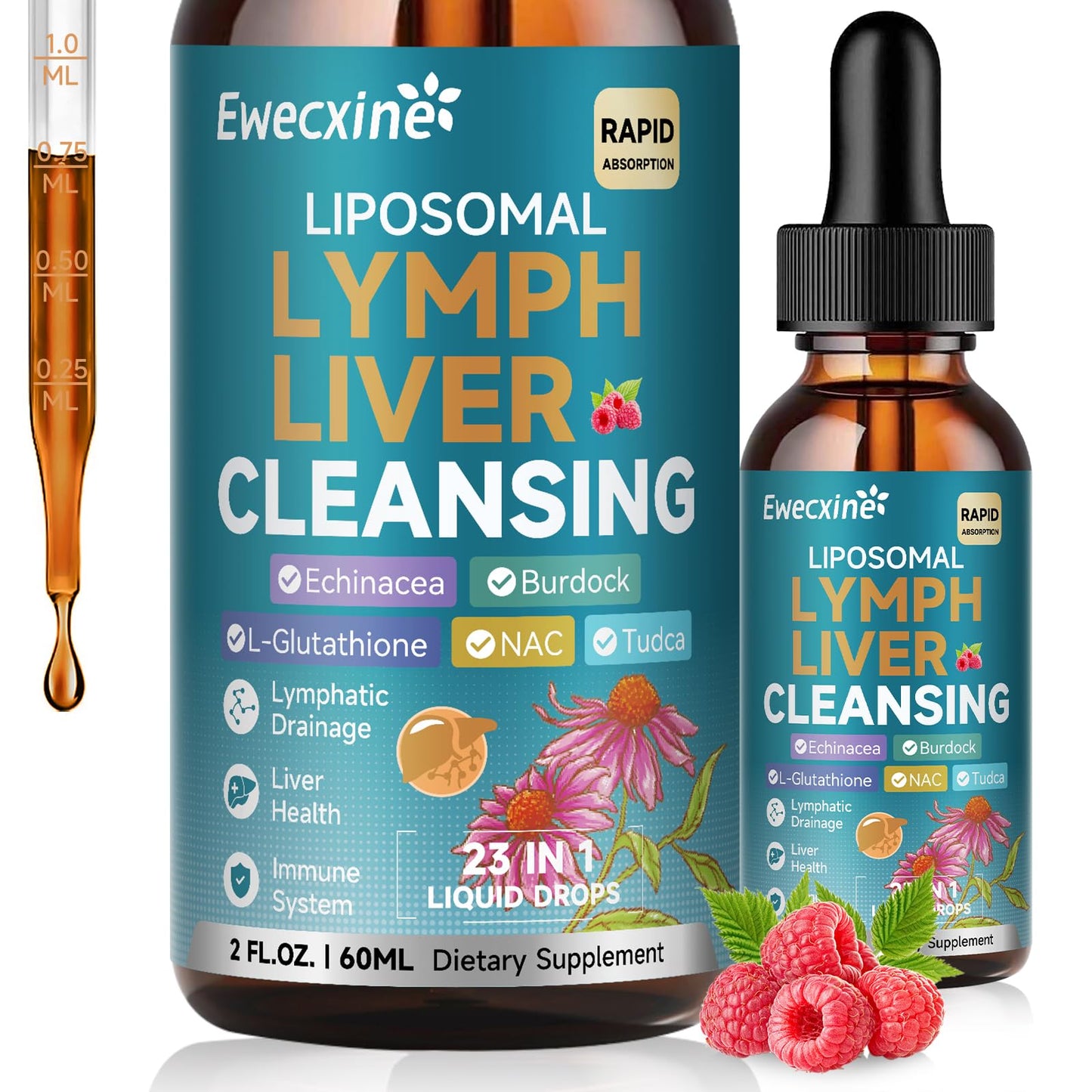 Liposomal Lymphatic Drainage & Liver Cleanse Drops, 23-in-1 with Echinacea, NAC, TUDCA, L-Glutathione, Burdock for Lymph, Liver Detox & Repair, Immune Support, Raspberry Flavor, 2 fl oz Supplement - dailyvitalstore