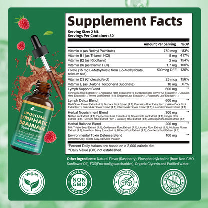 Liposomal Lymphatic Drainage Supplements with 30-in-1 Herbal Blend - Echinacea | Oregano | Milk Thistle - Sugar Free Lymph System Drops - Immune Support, Cleanse & Detox, Raspberry Flavor, 2 fl oz - dailyvitalstore