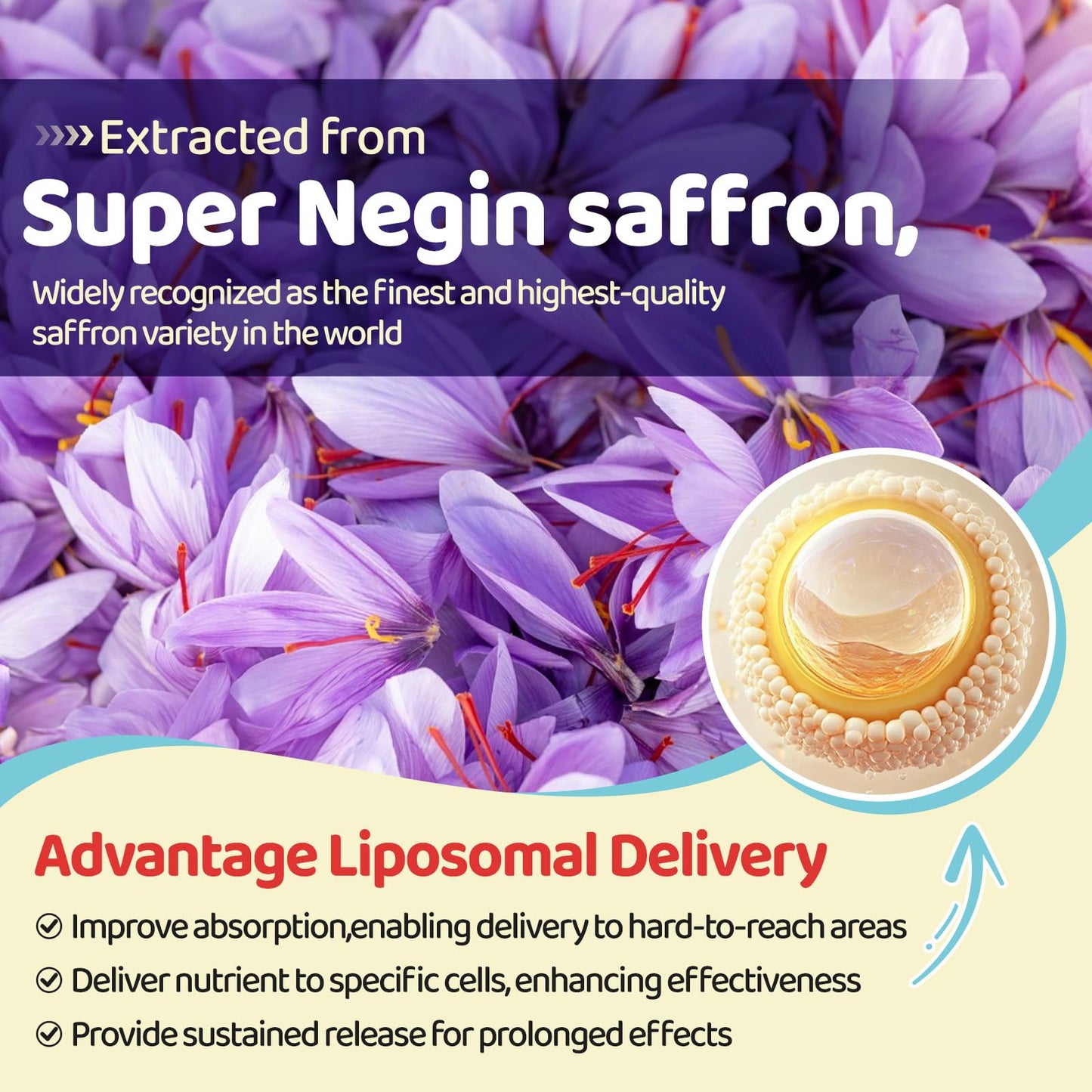 Liposomal Saffron Gummies for Kids 4+, Saffron Supplements w/Holy Basil, Rosemary, Magnesium Glycinate, Omega-3 & More, Brain Focus Support Supplement, Vegan, Organic, Sugar Free, 60 Chewables - dailyvitalstore