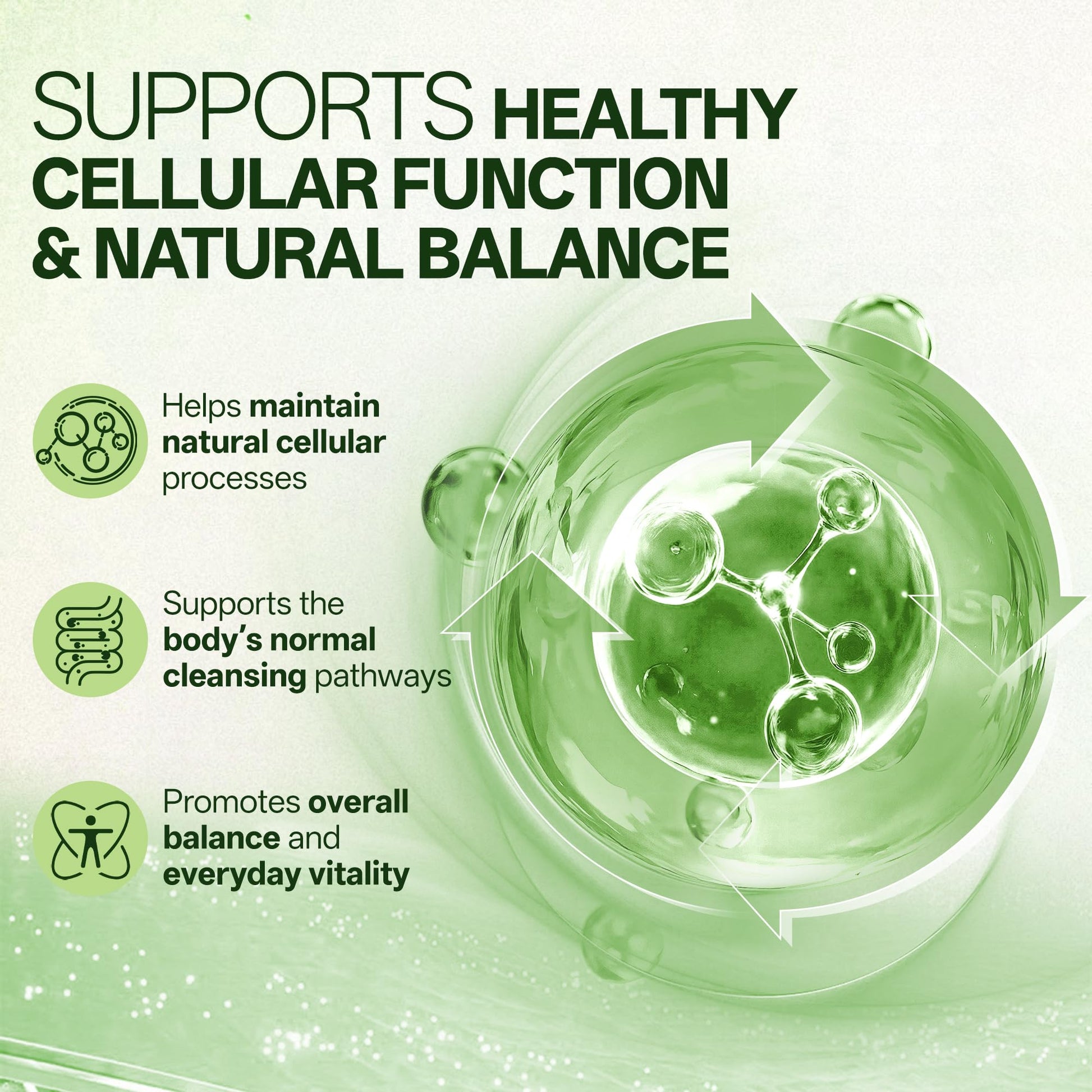 Liposomal Sulforaphane 500mg Supplement from Broccoli Extract with Quercetin, Black Pepper & Vitamin C – Antioxidant, Detox & Cellular Support, Cellular Health Formula for Men & Women, 60 Capsules - dailyvitalstore
