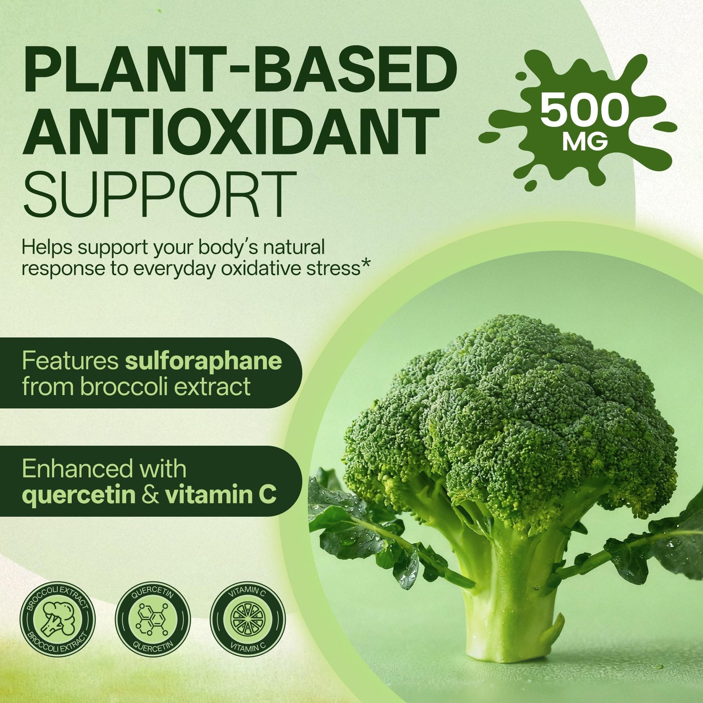 Liposomal Sulforaphane 500mg Supplement from Broccoli Extract with Quercetin, Black Pepper & Vitamin C – Antioxidant, Detox & Cellular Support, Cellular Health Formula for Men & Women, 60 Capsules - dailyvitalstore