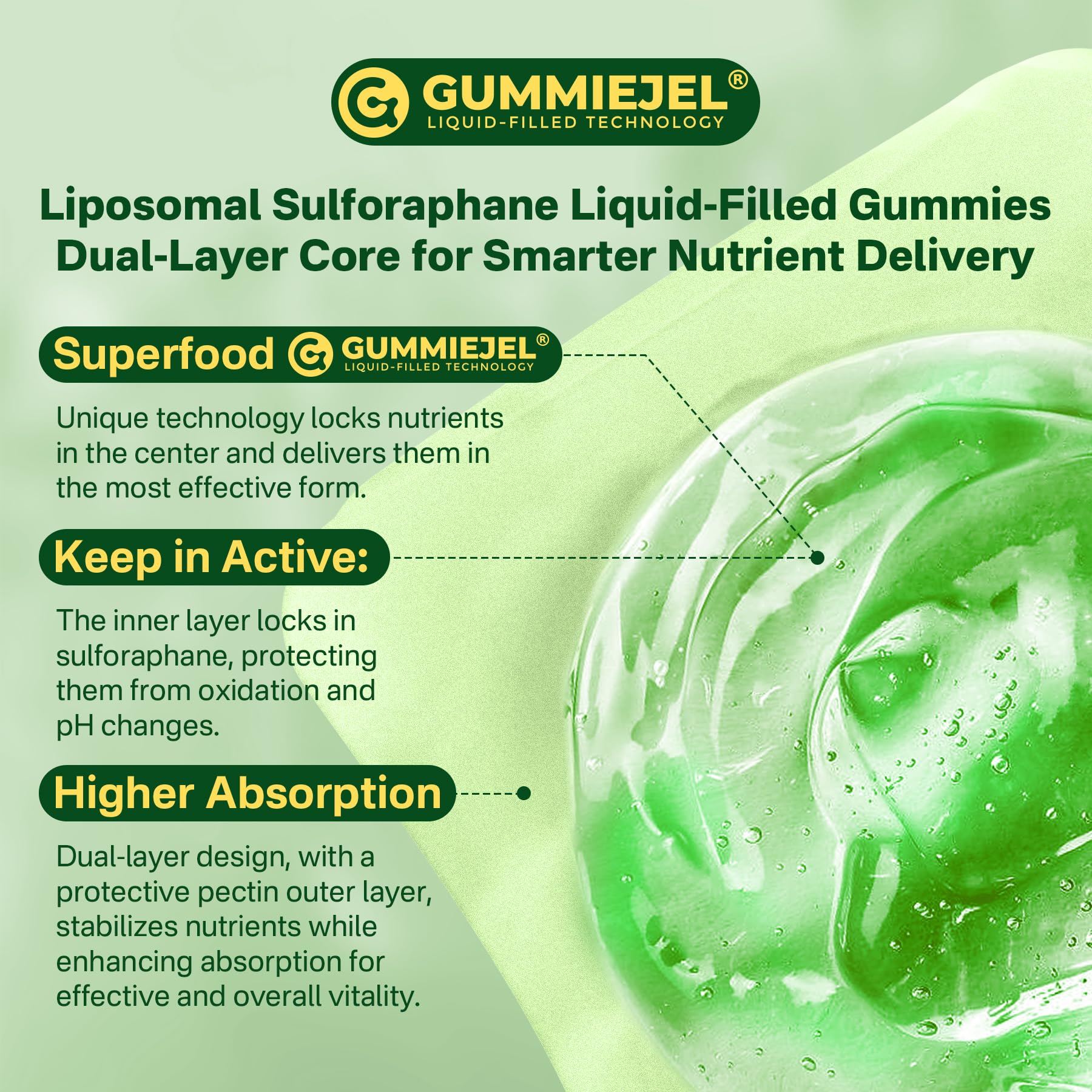 Liposomal Sulforaphane Supplement 150mg, from Broccoli Seed Extract w/Myrosinase, Quercetin, Glutathione, Sulforaphane Supplement Gummies for Antioxidants Detox Cellular Brain Health, Chewable 60Cts - dailyvitalstore