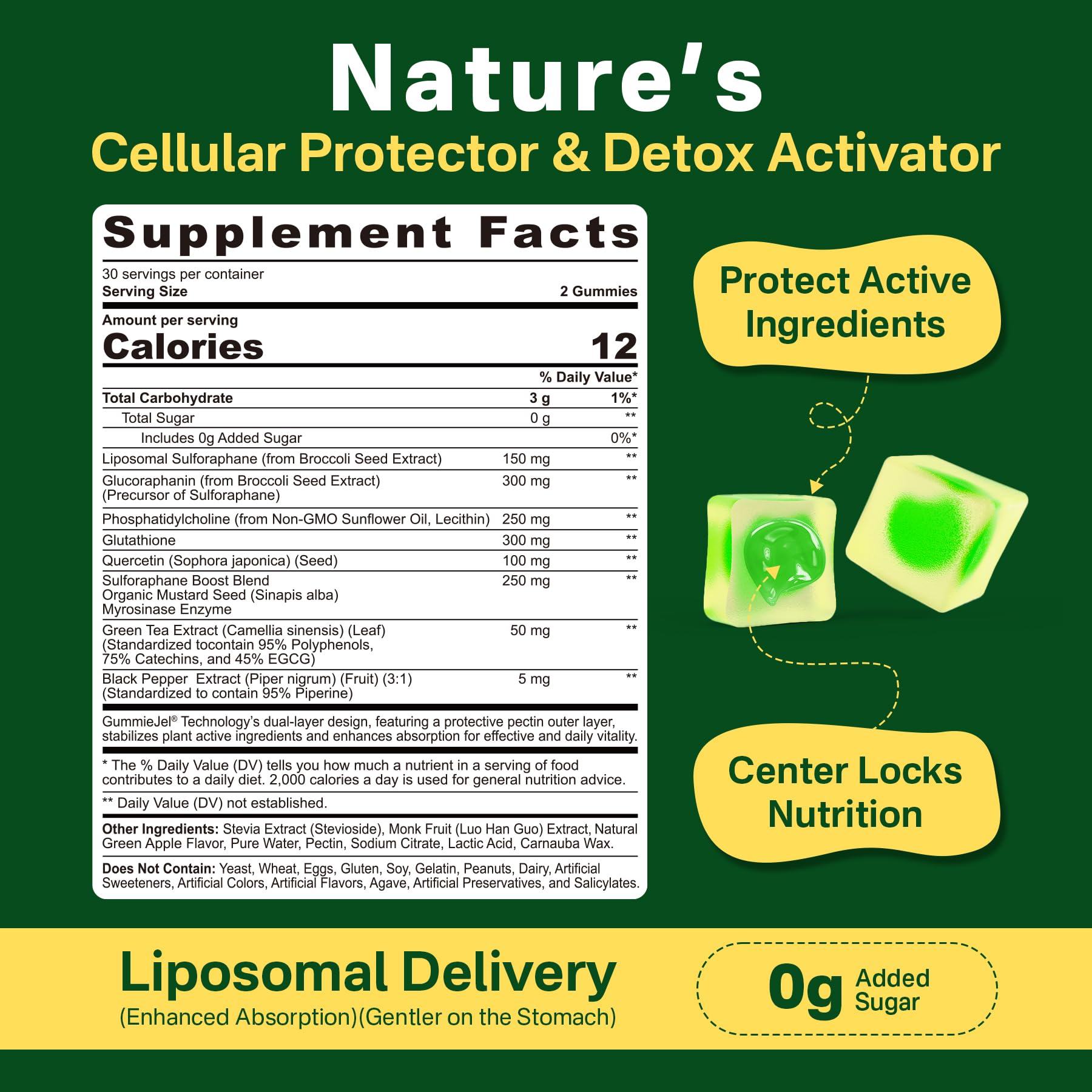 Liposomal Sulforaphane Supplement 150mg, from Broccoli Seed Extract w/Myrosinase, Quercetin, Glutathione, Sulforaphane Supplement Gummies for Antioxidants Detox Cellular Brain Health, Chewable 60Cts - dailyvitalstore