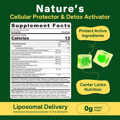 Liposomal Sulforaphane Supplement 150mg, from Broccoli Seed Extract w/Myrosinase, Quercetin, Glutathione, Sulforaphane Supplement Gummies for Antioxidants Detox Cellular Brain Health, Chewable 60Cts - dailyvitalstore