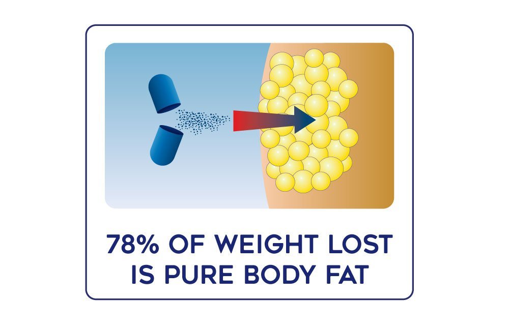 Lipozene MEGA Bottle - 120 Capsules, Making it Our Largest Size Available - Appetite Suppressant - dailyvitalstore