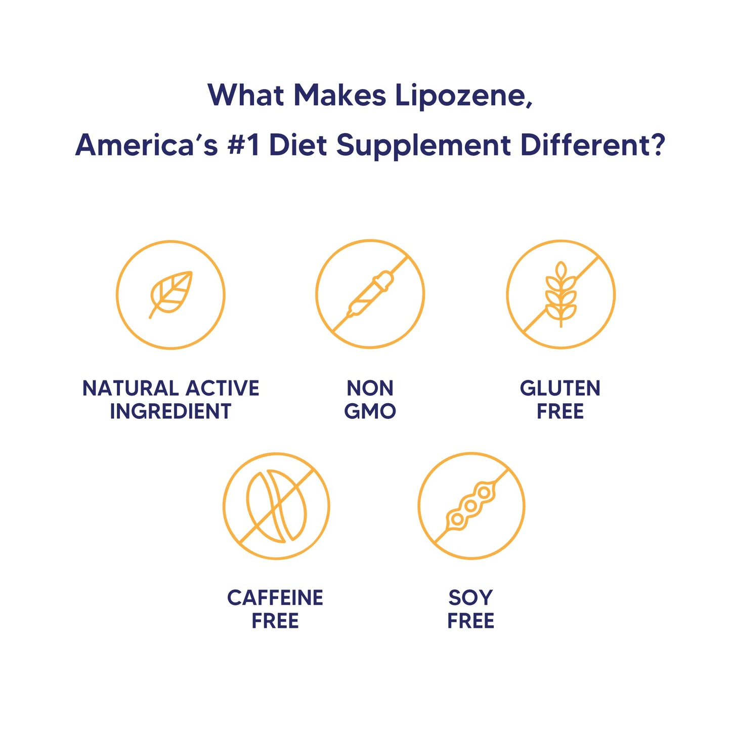 Lipozene Weight-Management Fiber Supplement, 60 Capsules | Non-Stimulant Glucomannan Formula for Healthy Lifestyle Support - dailyvitalstore