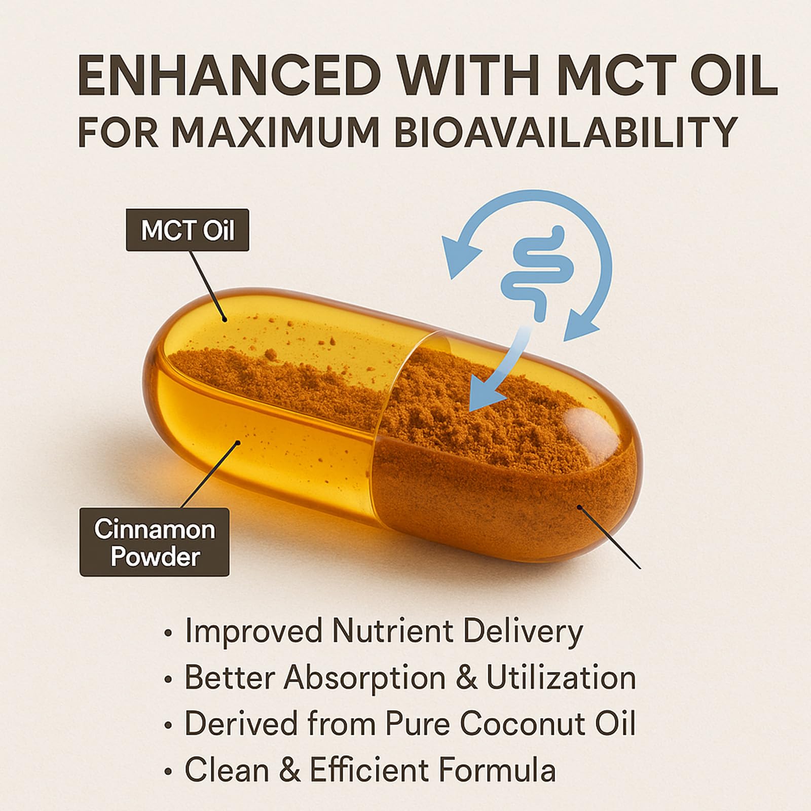 LIRAE Ceylon Cinnamon Softgels with MCT Oil – 300 Softgels – True Ceylon Cinnamon Supplement – Non-GMO, Gluten Free - dailyvitalstore