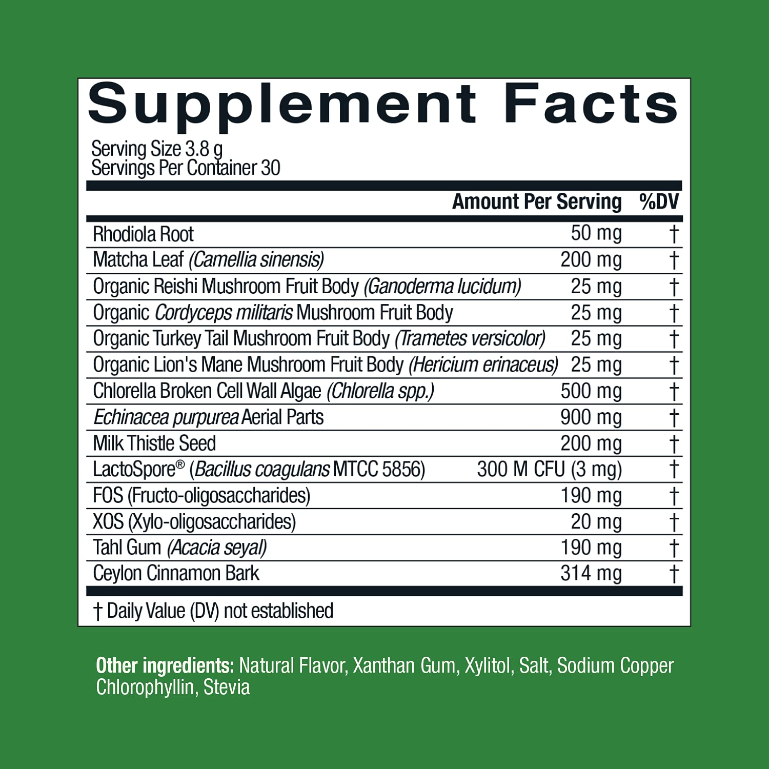 Live Conscious Beyond Greens Concentrated Superfood Powder - Matcha Flavor w/Chlorella, Echinacea, Probiotics for Immune Support & Energy - 30 Servings (2-Pack) - dailyvitalstore