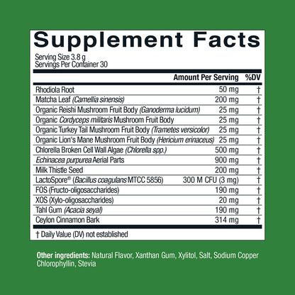 Live Conscious Beyond Greens Concentrated Superfood Powder - Matcha Flavor w/Chlorella, Echinacea, Probiotics for Immune Support & Energy - 30 Servings (2-Pack) - dailyvitalstore