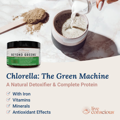 Live Conscious Beyond Greens Concentrated Superfood Powder - Matcha Flavor w/Chlorella, Echinacea, Probiotics for Immune Support & Energy - 30 Servings (2-Pack) - dailyvitalstore
