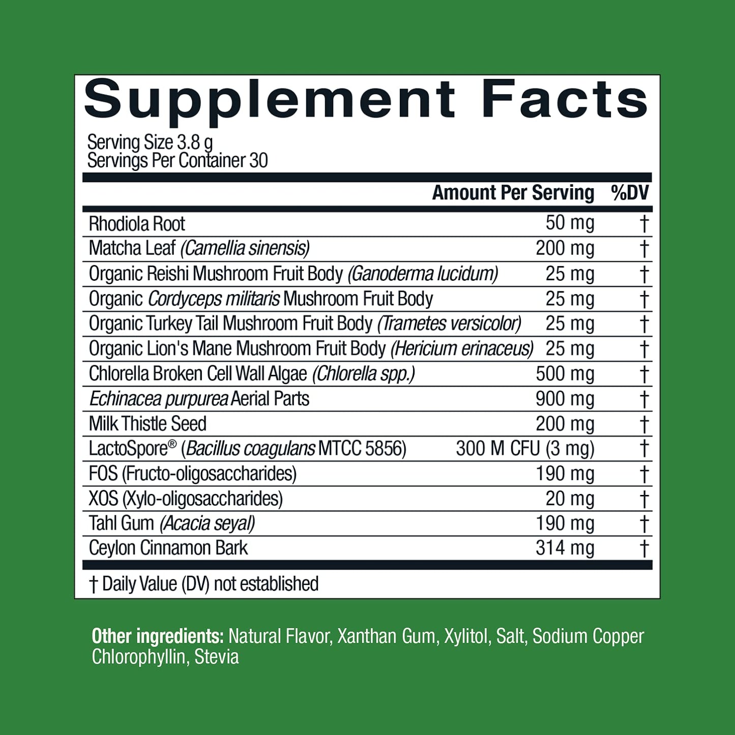 Live Conscious Beyond Greens Superfood Powder - Delicious Debloating Super Greens Powder - Matcha Greens Blend w/Chlorella, Echinacea, Probiotics for Immune Support & Energy - dailyvitalstore