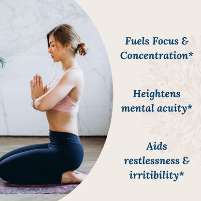 Live Conscious KSM-66 Ashwagandha Supplement w/L Theanine & AlphaWave - ZenWell Everyday Stress Relief, Cognitive, Brain Health - dailyvitalstore