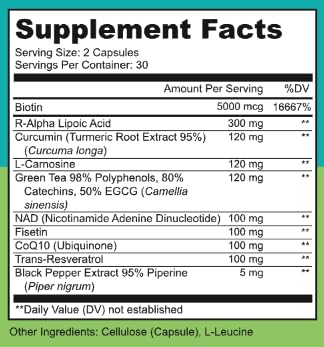 LIVELY VITAMIN CO. Perfect Ten - Anti-Aging & Antioxidant Supplement - Biotin & Lipoic Acid - Healthy Hair, Skin, Nails - Energy Boost - Sharper Brain Function - Stronger Immunity - 60 Capsules - dailyvitalstore