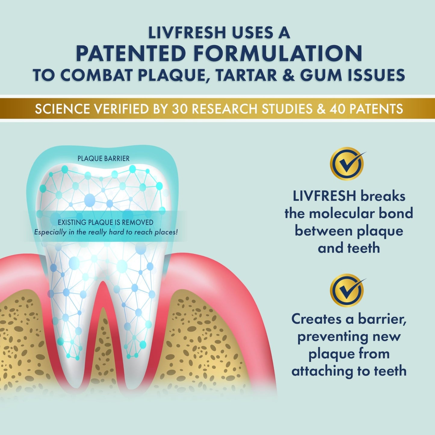 LIVFRESH Toothpaste Gel, Clinically Proven to Remove Plaque 250% Better, Improves Gum Health 190% Better, Prevents & Reduces Tartar - dailyvitalstore