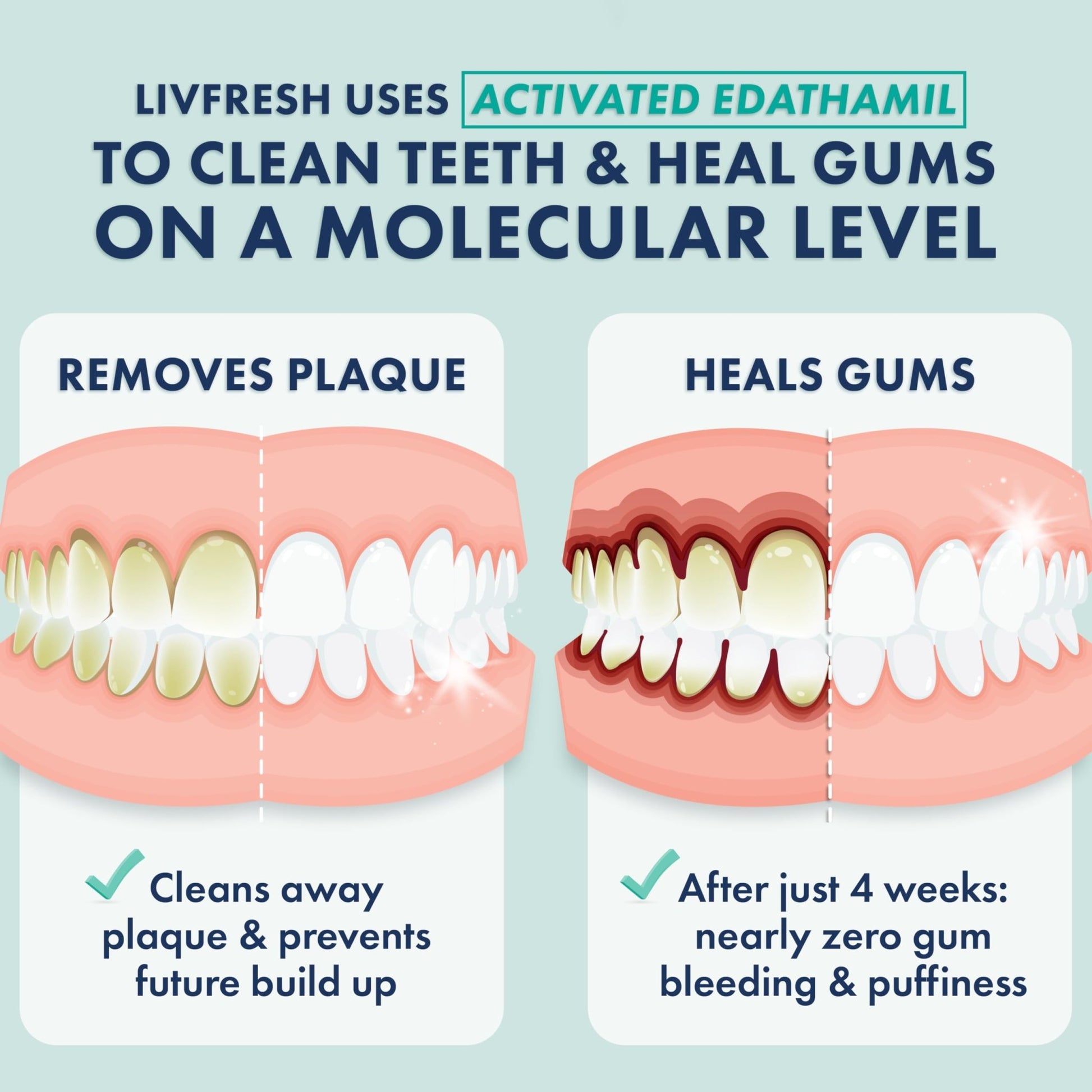 LIVFRESH Toothpaste Gel, Clinically Proven to Remove Plaque 250% Better, Improves Gum Health 190% Better, Prevents & Reduces Tartar - dailyvitalstore