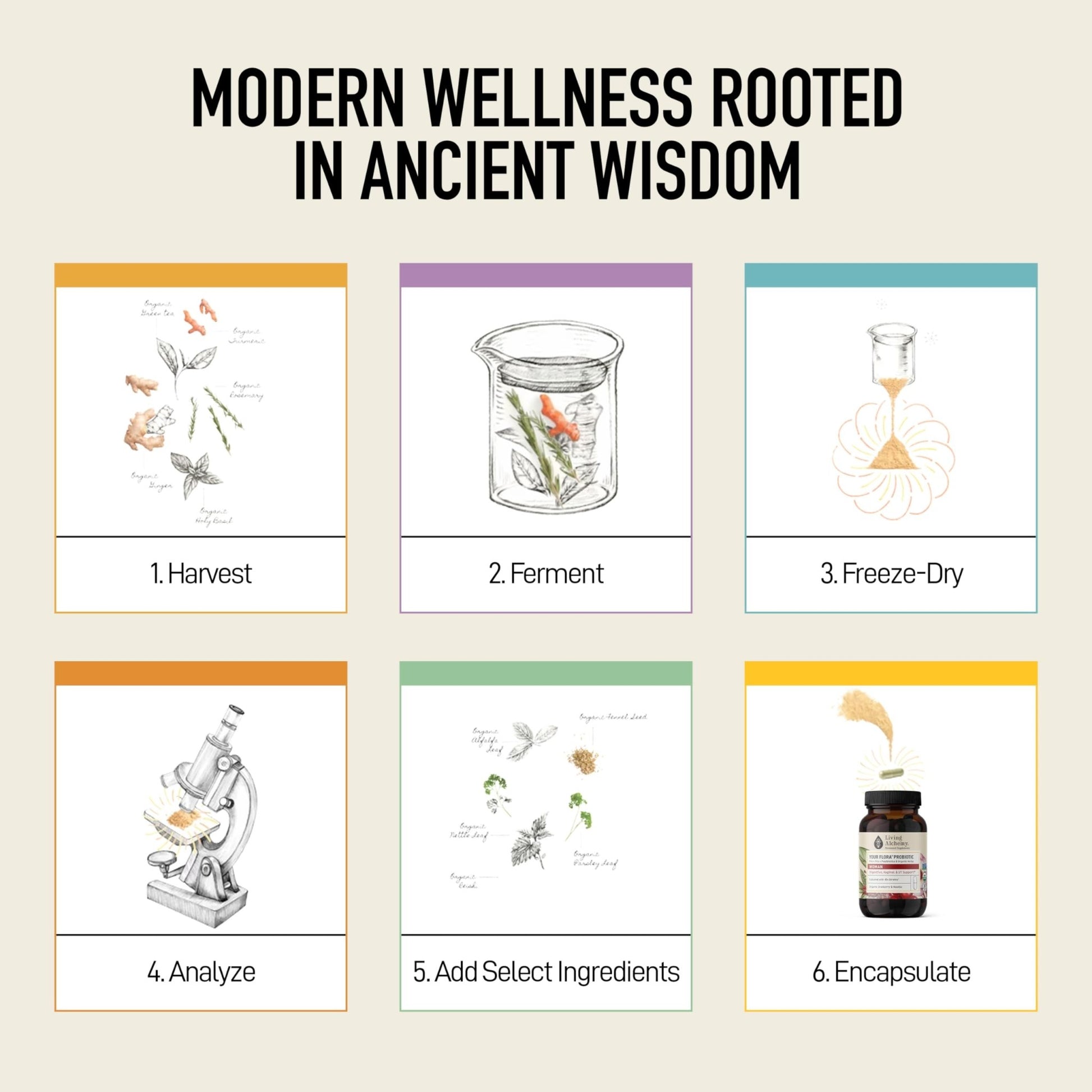 Living Alchemy Gut Health Supplements for Women - Your Flora Probiotics Women with Fermented Soybean, Cranberry Juice, Roselle, Prebiotics, Digestive Enzyme, & Probiotics - Vegan, Non-GMO, 60 Pcs - dailyvitalstore