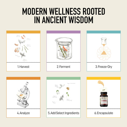 Living Alchemy Gut Health Supplements for Women - Your Flora Probiotics Women with Fermented Soybean, Cranberry Juice, Roselle, Prebiotics, Digestive Enzyme, & Probiotics - Vegan, Non-GMO, 60 Pcs - dailyvitalstore