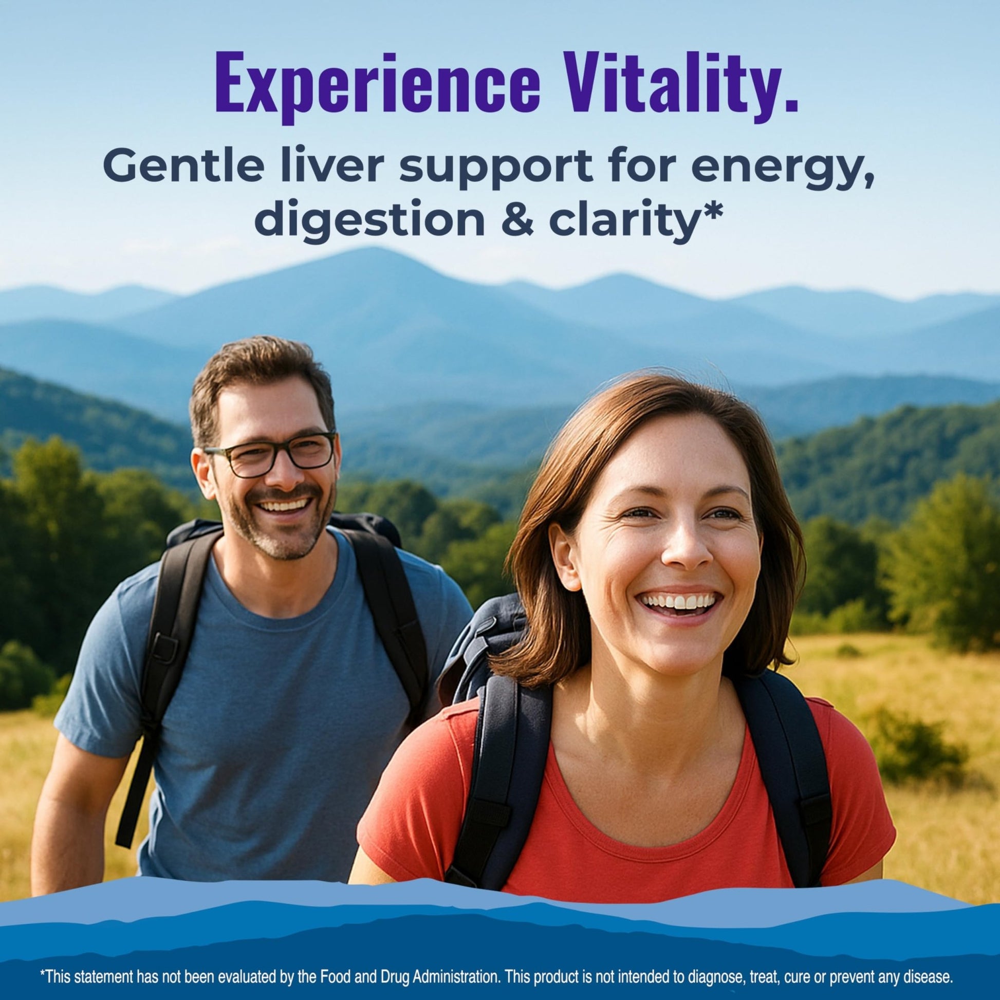LiVitalize 28-in-1 Liver Health Support with Milk Thistle – Liver Cleanse & Detox Supplement - Dandelion NAC Alpha Lipoic Acid Artichoke Reishi Chaga Turkey - dailyvitalstore