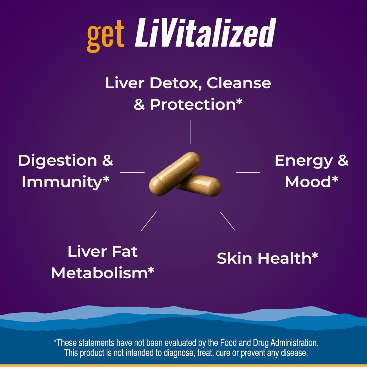 LiVitalize 28-in-1 Liver Health Support with Milk Thistle – Liver Cleanse & Detox Supplement - Dandelion NAC Alpha Lipoic Acid Artichoke Reishi Chaga Turkey - dailyvitalstore