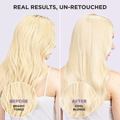 L’Oreal Paris Sulfate Free Brass Toning Purple Shampoo for Blonde, Bleached, Silver, or Brown Highlighted Hair, EverPure, 6.8 Fl Oz (Packaging May Vary) - dailyvitalstore