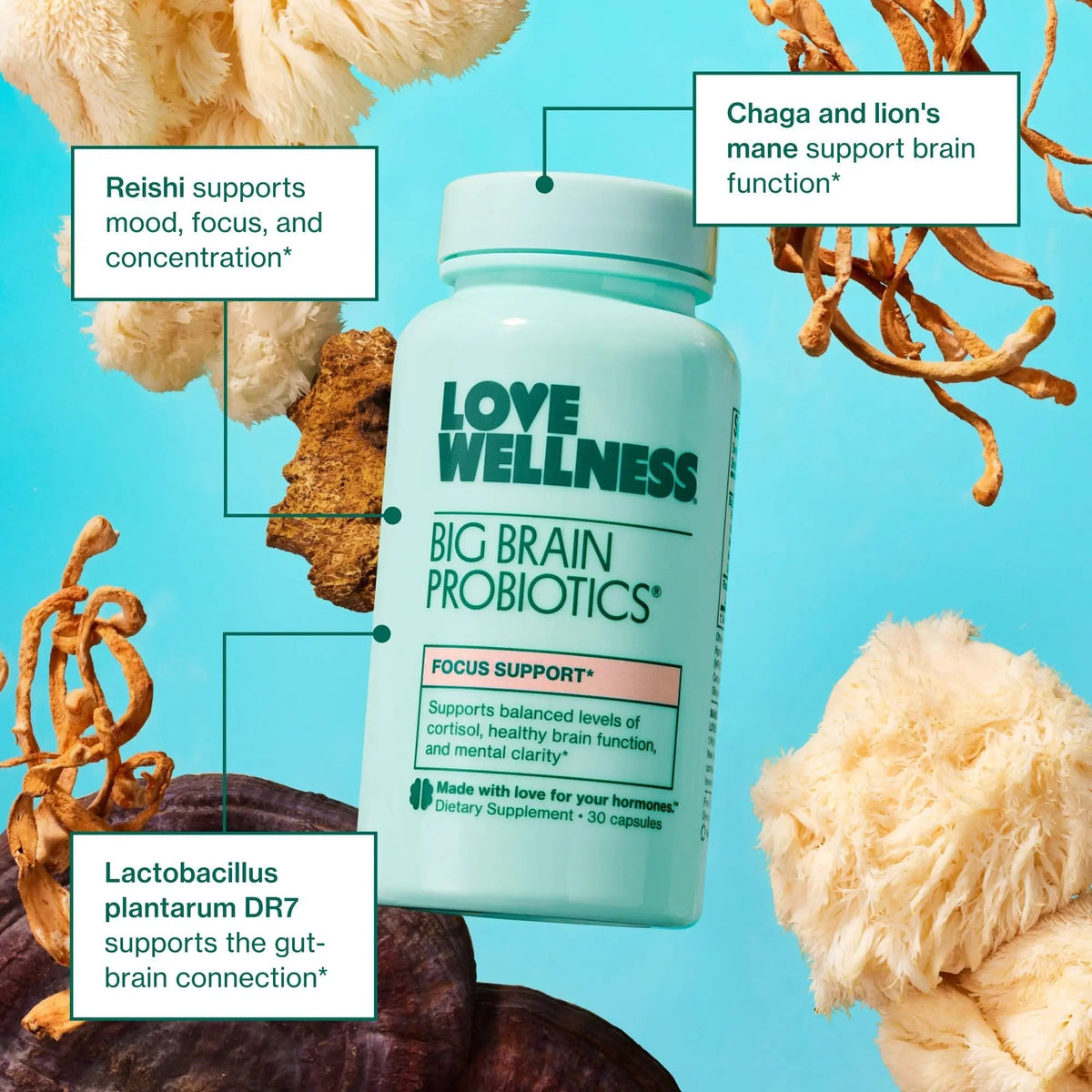 Love Wellness Daily Love Multivitamin & Big Brain Probiotics | Mind and Body Duo | Womens Vitamin and Probitoic - dailyvitalstore