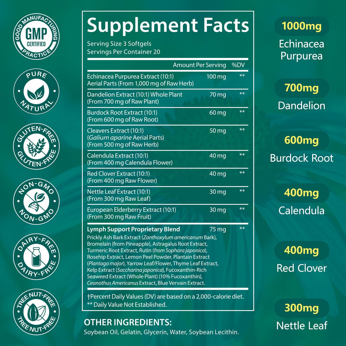 LTQXGT Lymphatic Support Supplement 60 Softgels– Advanced Botanical Complex with Echinacea, Dandelion & Elderberry – Antioxidant-Rich Daily Wellness Formula - dailyvitalstore