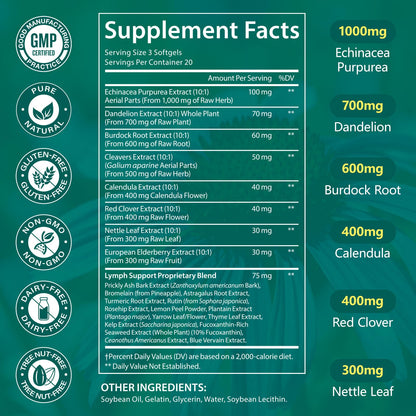 LTQXGT Lymphatic Support Supplement 60 Softgels– Advanced Botanical Complex with Echinacea, Dandelion & Elderberry – Antioxidant-Rich Daily Wellness Formula - dailyvitalstore