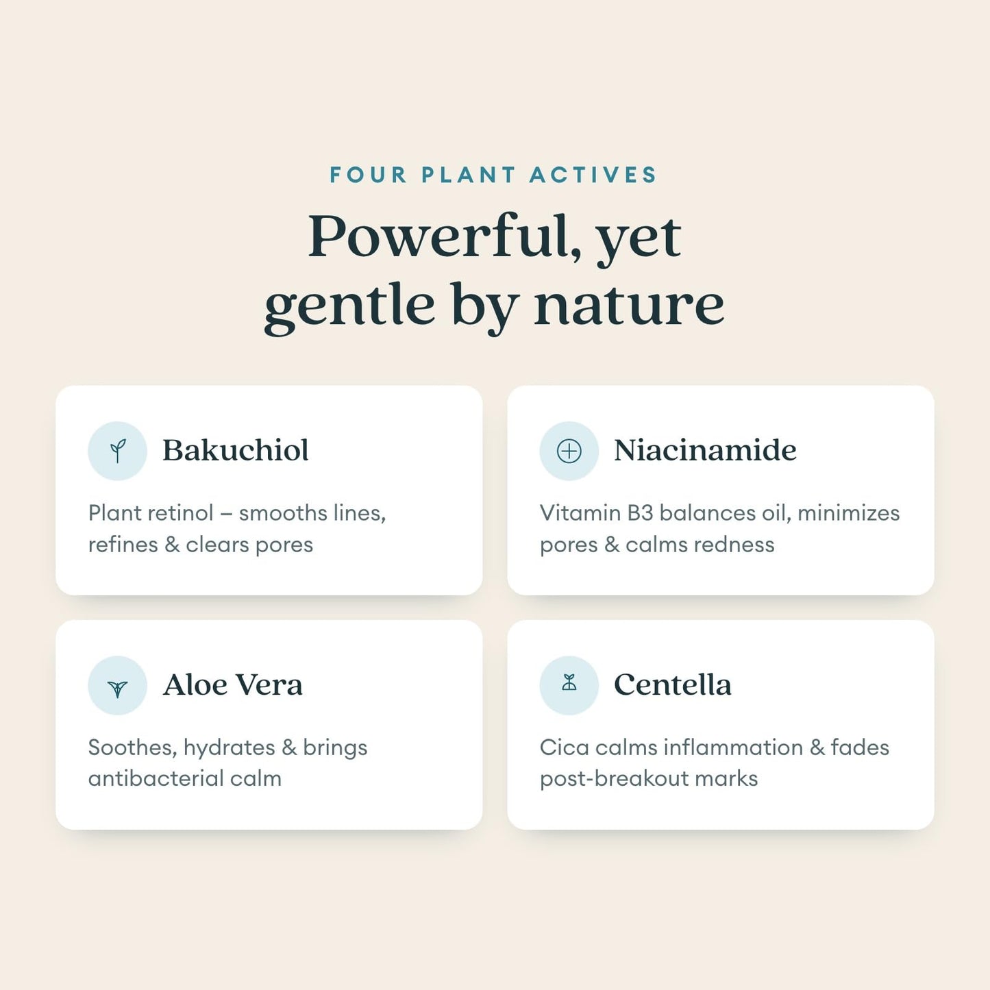 LUMA & LEAF Clear Slate Niacinamide Serum for Face – Redness & Acne Relief with Bakuchiol & Aloe Vera – Hydrating Vegan Daily - dailyvitalstore