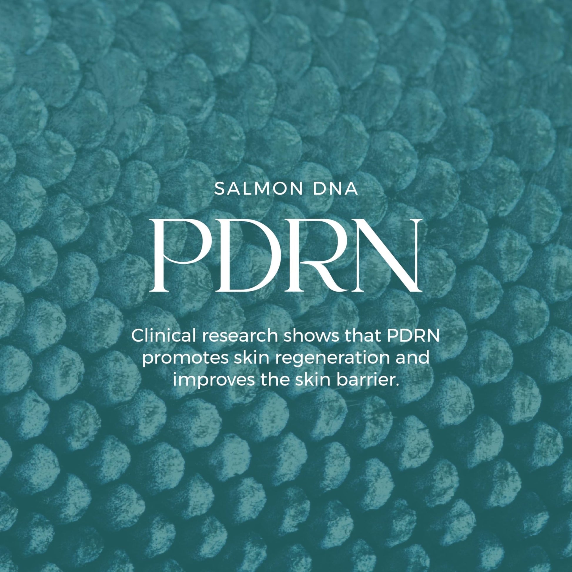 LumEnvy Salmon DNA Glass Skin Serum - Hydrating Korean Skincare Face Serum with PDRN, Niacinamide & Centella Asiatica | Brightening, - dailyvitalstore