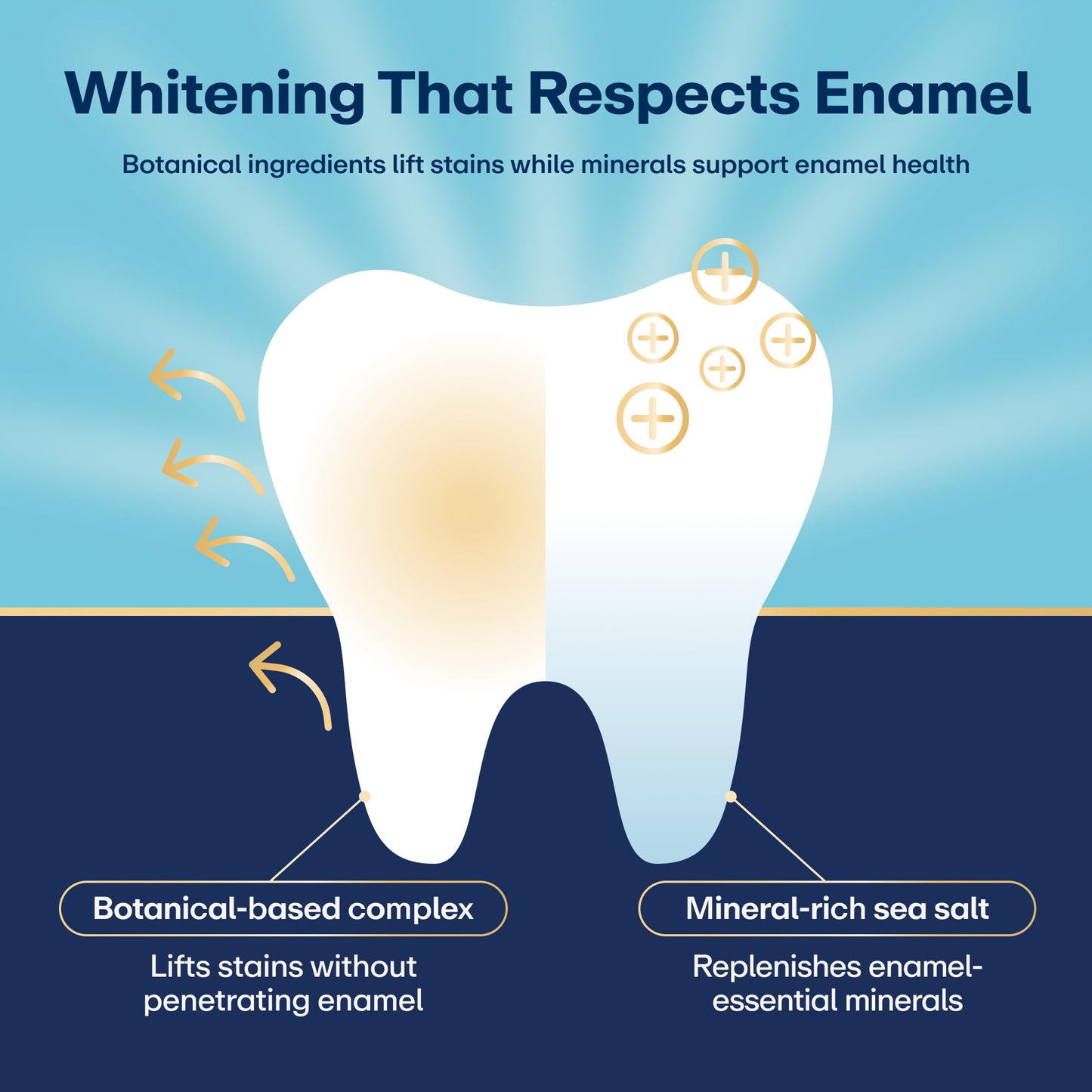 Lumineux Teeth Whitening Strips Kit - 9 Treatments (1 Month) - Peroxide Free - Enamel Safe for Whiter Teeth - Whitening Without The Sensitivity - dailyvitalstore