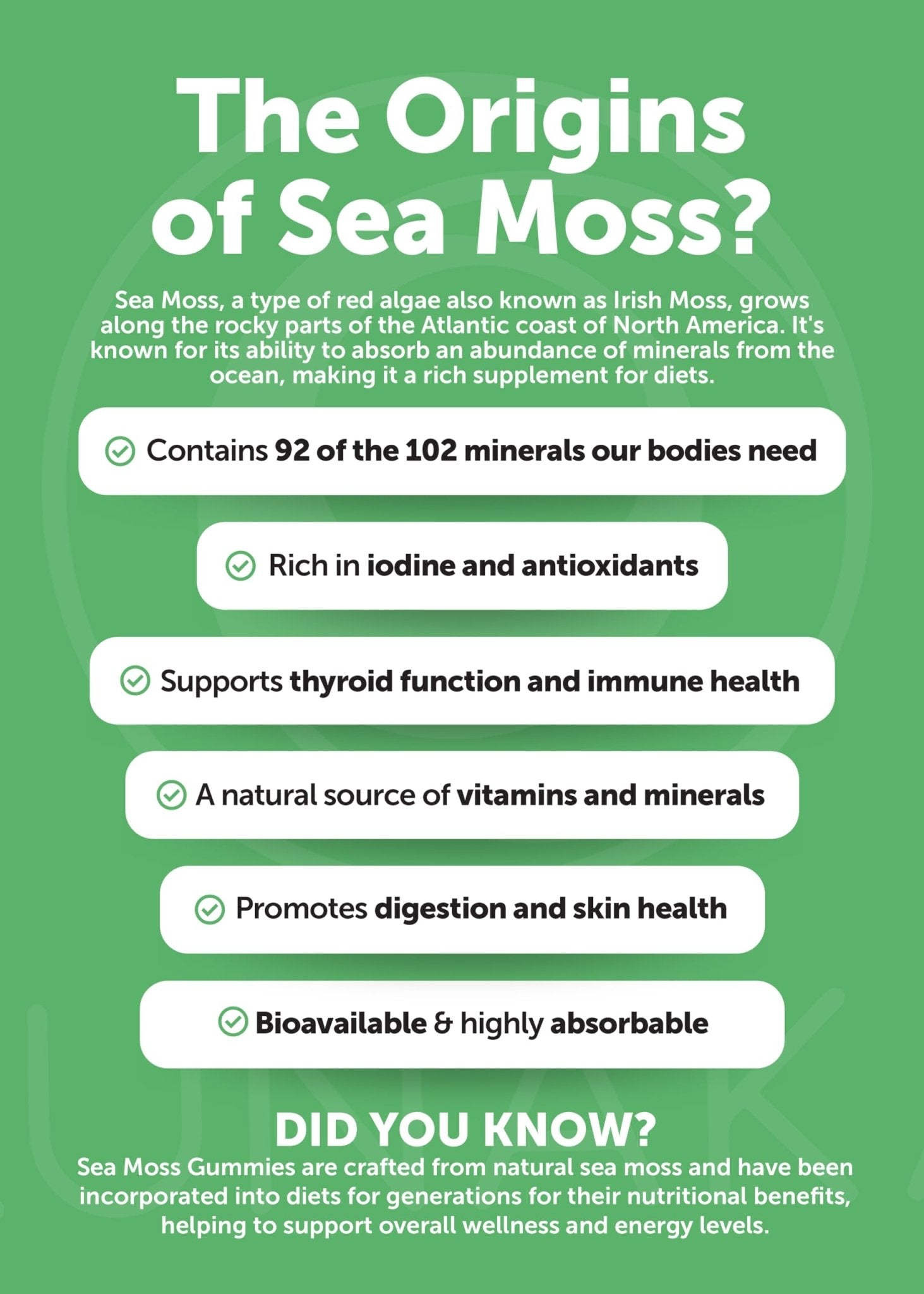 Lunakai USA Made Superfood Fruits & Veggies Supplement & Irish Sea Moss Bundle with 4 Blends, Black Seed Oil & Ashwagandha for Immune & Wellness Support - dailyvitalstore