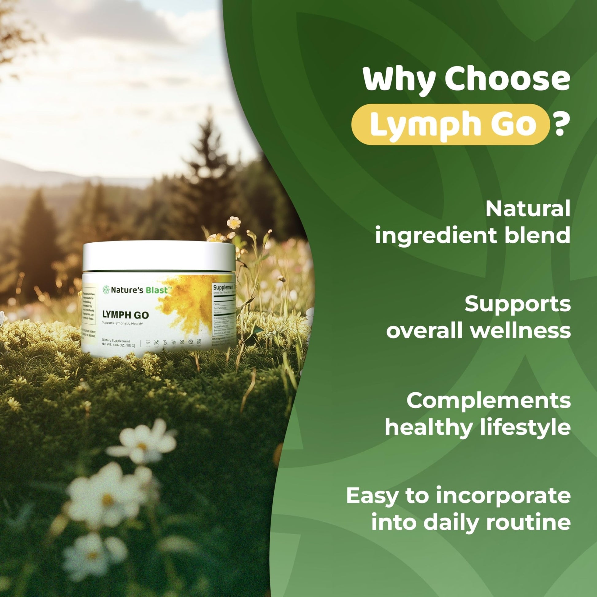 Lymph Go - Lymphatic Drainage Supplement for Women & Men - Lymph System Support - with with Bromelain, Echinacea, Burdock Root, Dandelion, Rutin, Kelp & More - 4.06 Oz - 30 Servings - Tropical Flavor - dailyvitalstore