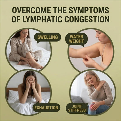 Lymphatic Drainage Capsules - 45-Day Body Reset with 500mg Echinacea & Dandelion - Supports Fluid Balance, Natural Energy & Joint Comfort - Non-GMO, 90 Capsules - dailyvitalstore