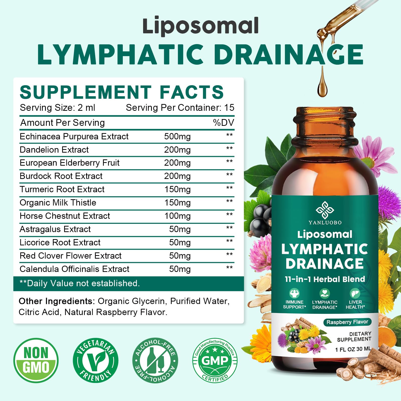 Lymphatic Drainage Drops - 11 in 1 Lymphatic Supplement for Immune, Lymph System & Liver Detox - with Echinacea, Horse Chestnut, Dandelion, Elderberry & Burdock - Raspberry Flavor, Vegan, 2 Fl Oz - dailyvitalstore
