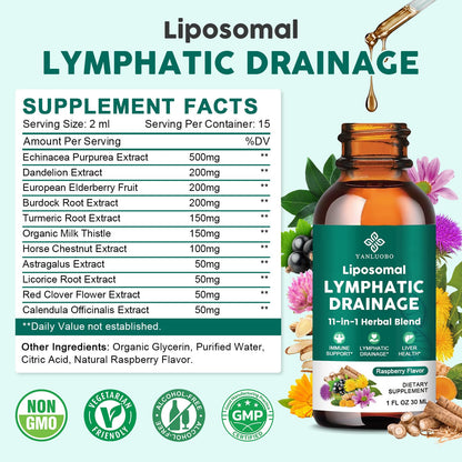 Lymphatic Drainage Drops - 11 in 1 Lymphatic Supplement for Immune, Lymph System & Liver Detox - with Echinacea, Horse Chestnut, Dandelion, Elderberry & Burdock - Raspberry Flavor, Vegan, 2 Fl Oz - dailyvitalstore