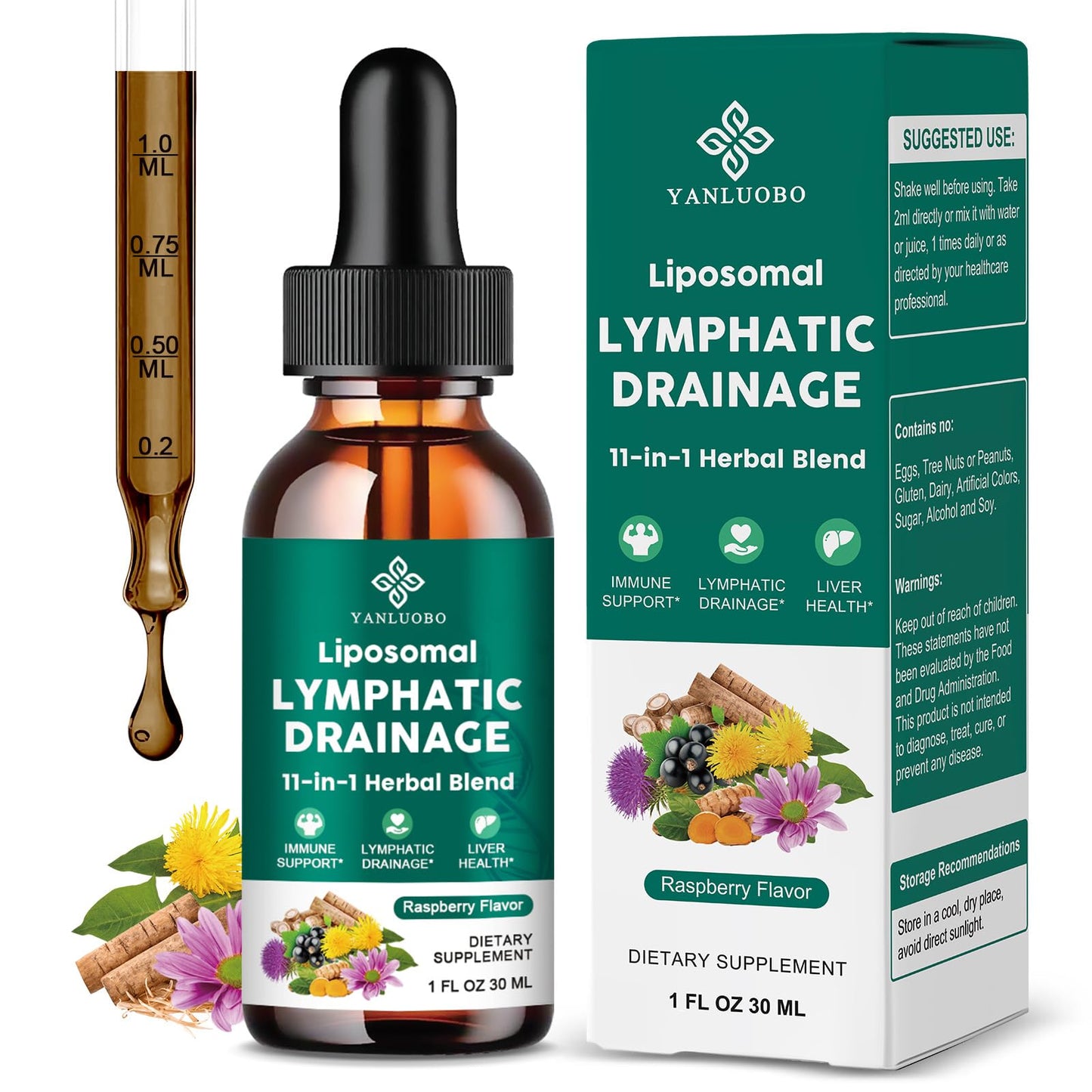 Lymphatic Drainage Drops - 11 in 1 Lymphatic Supplement for Immune, Lymph System & Liver Detox - with Echinacea, Horse Chestnut, Dandelion, Elderberry & Burdock - Raspberry Flavor, Vegan, 2 Fl Oz - dailyvitalstore