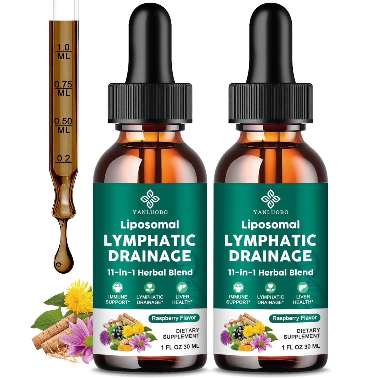 Lymphatic Drainage Drops - 11 in 1 Lymphatic Supplement for Immune, Lymph System & Liver Detox - with Echinacea, Horse Chestnut, Dandelion, Elderberry & Burdock - Raspberry Flavor, Vegan, 2 Fl Oz - dailyvitalstore