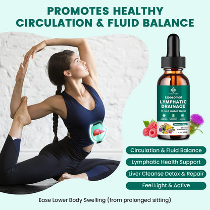 Lymphatic Drainage Drops - 11 in 1 Lymphatic Supplement for Immune, Lymph System & Liver Detox - with Echinacea, Horse Chestnut, Dandelion, Elderberry & Burdock - Raspberry Flavor, Vegan, 2 Fl Oz - dailyvitalstore