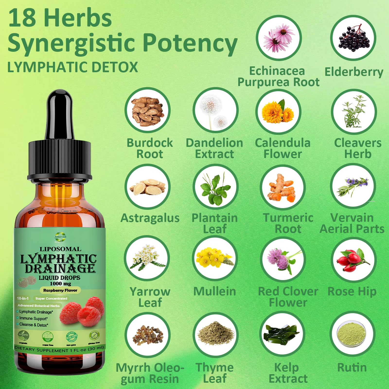 Lymphatic Drainage Drops, 18-in-1 Herbal Lymph System Support w. Echinacea Elderberry Dandelion Burdock Root Cleavers for Lymphatic Cleanse Detox Immune Support, Liposoaml for Max Absorption - dailyvitalstore