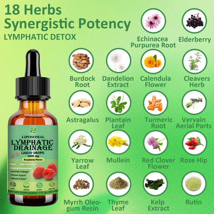 Lymphatic Drainage Drops, 18-in-1 Herbal Lymph System Support w. Echinacea Elderberry Dandelion Burdock Root Cleavers for Lymphatic Cleanse Detox Immune Support, Liposoaml for Max Absorption - dailyvitalstore