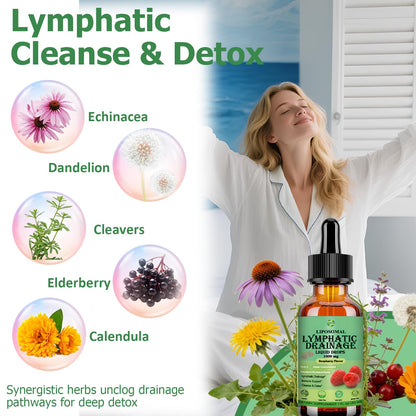 Lymphatic Drainage Drops, 18-in-1 Herbal Lymph System Support w. Echinacea Elderberry Dandelion Burdock Root Cleavers for Lymphatic Cleanse Detox Immune Support, Liposoaml for Max Absorption - dailyvitalstore