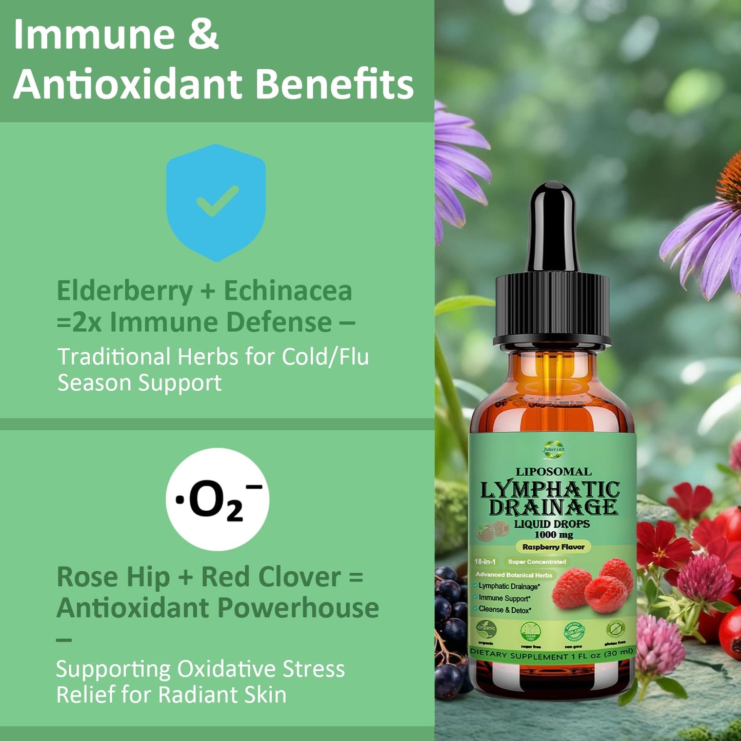 Lymphatic Drainage Drops, 18-in-1 Herbal Lymph System Support w. Echinacea Elderberry Dandelion Burdock Root Cleavers for Lymphatic Cleanse Detox Immune Support, Liposoaml for Max Absorption - dailyvitalstore