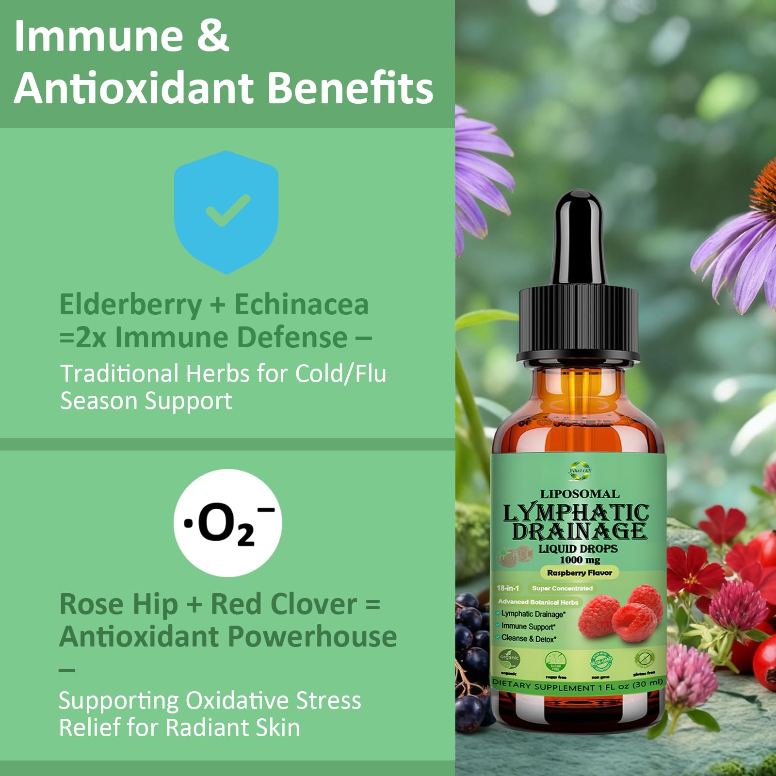 Lymphatic Drainage Drops, 18-in-1 Herbal Lymph System Support w. Echinacea Elderberry Dandelion Burdock Root Cleavers for Lymphatic Cleanse Detox Immune Support, Liposoaml for Max Absorption - dailyvitalstore