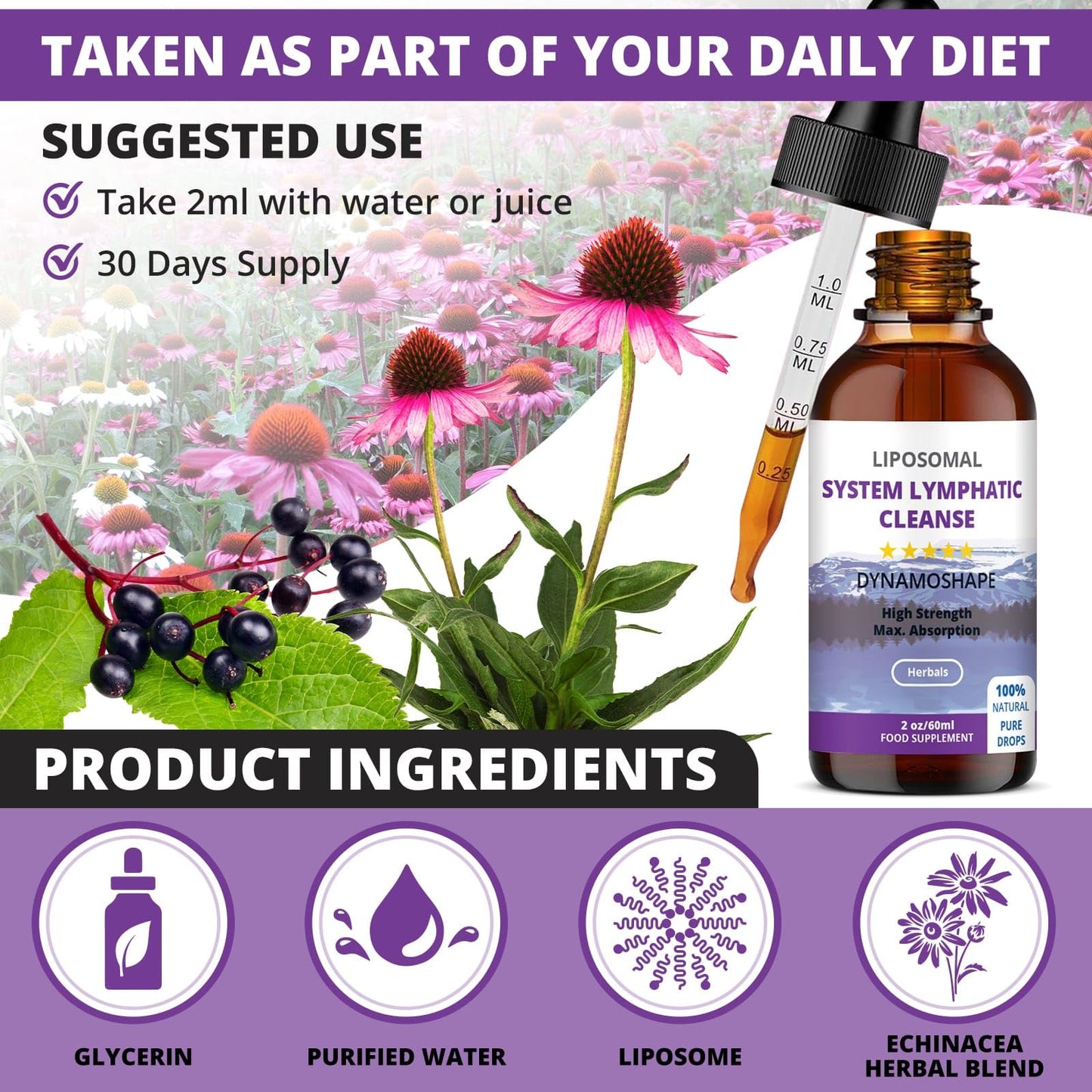 Lymphatic Drainage Drops | Lymphatic Drainage | Organic Lymphatic Drainage for Immune Support | Lymphatic Support Supplement | Vegan | Non-GMO | Gluten Free | 1 Fl Oz… - dailyvitalstore