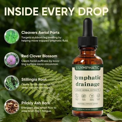 Lymphatic Drainage Drops, Lymphatic System Support, Immune System, Natural Herbal Blends, Vegan & Non-GMO (1) - dailyvitalstore