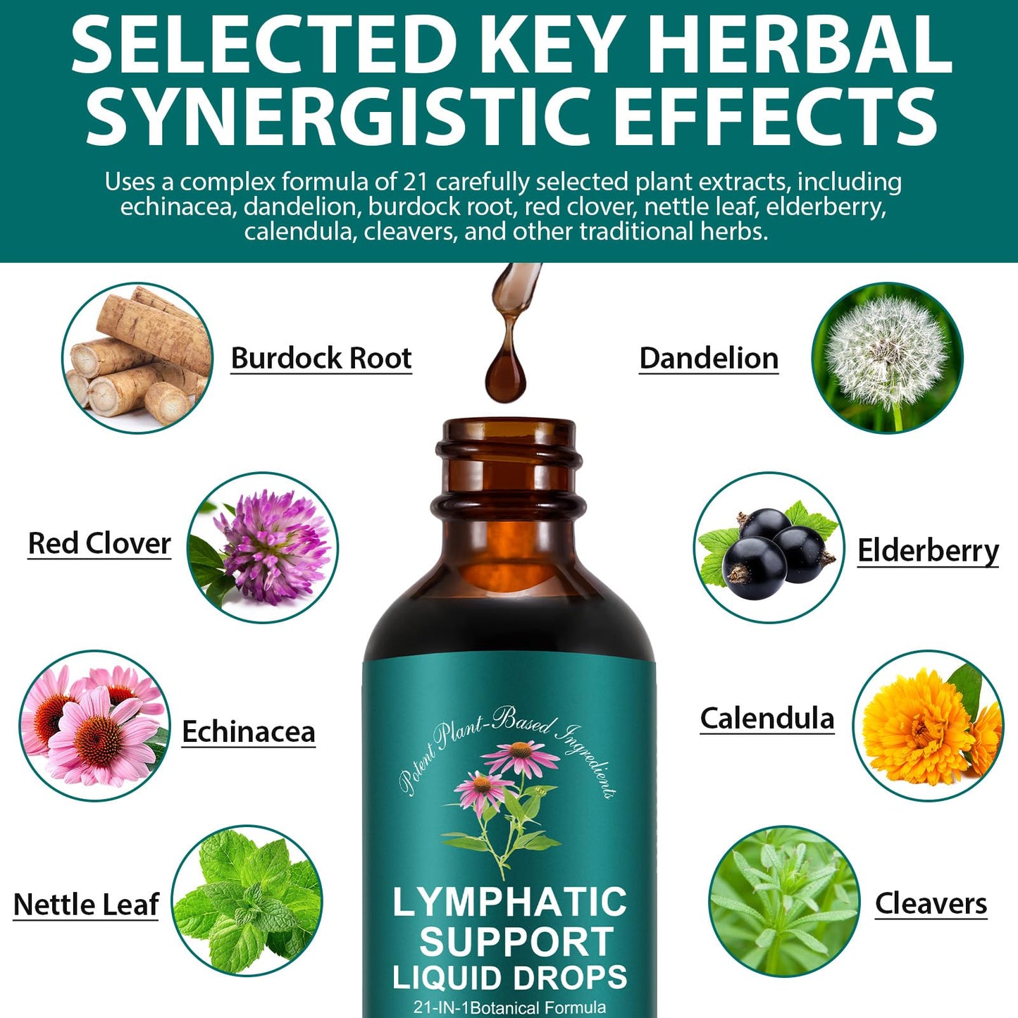 Lymphatic Drainage Drops, Natural Lymph Cleanse & Immune Support Supplement with Echinacea, Dandelion, Elderberry, Cleavers, Astragalus & Burdock, 2 FL OZ (1) - dailyvitalstore